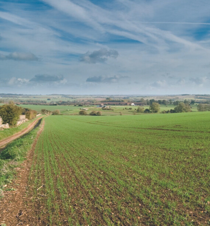 Green Horizons field